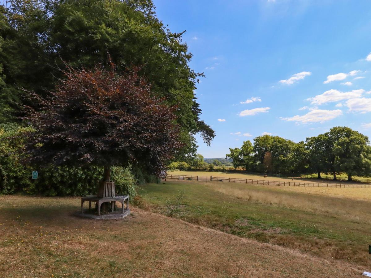 Nethercott House Winkleigh 外观 照片